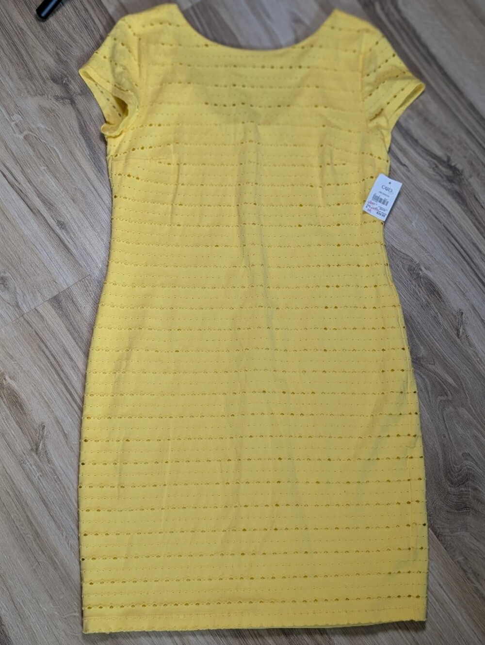NWT Cato Pointelle knit Yellow Dress Women's 8